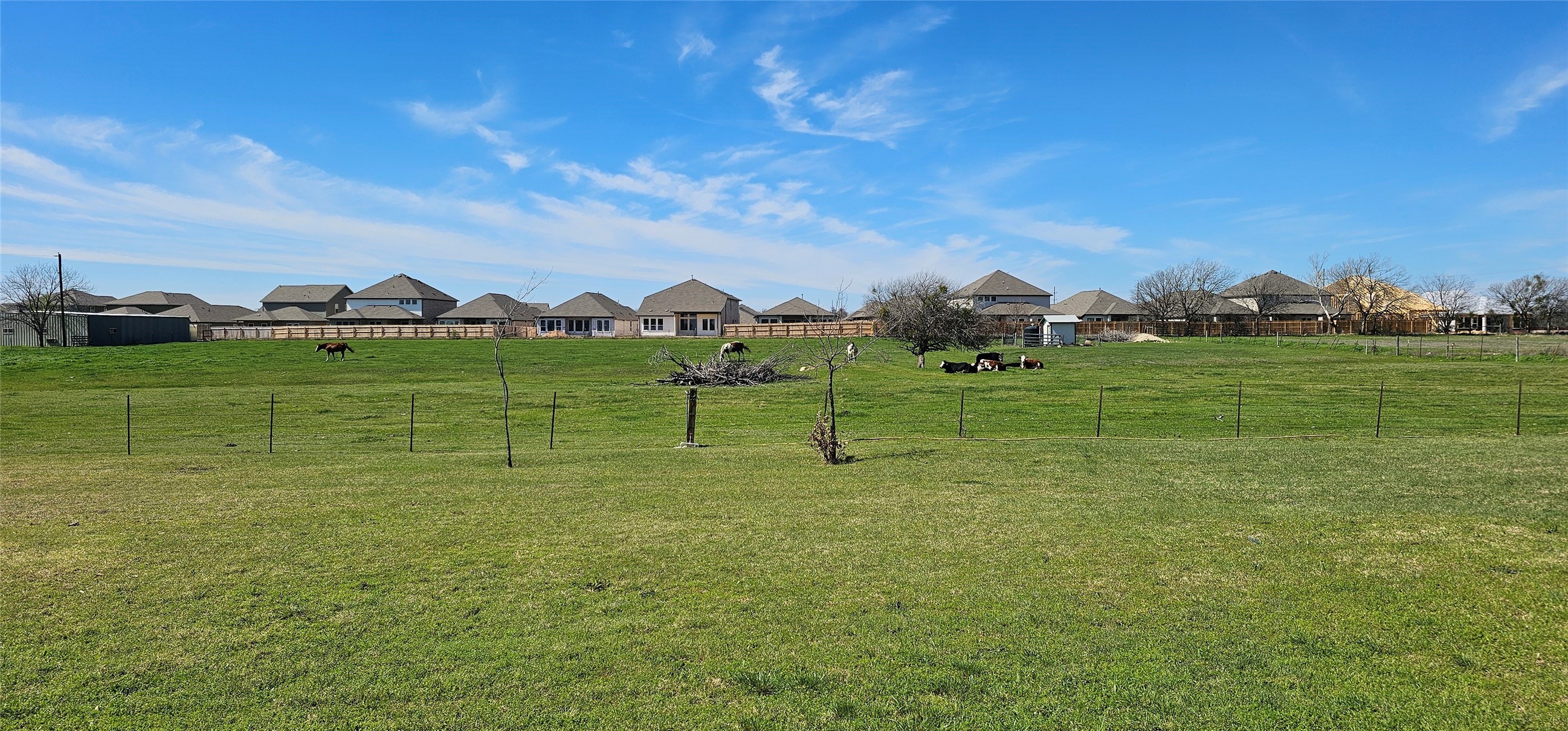 16 Brenda Lane Round Rock, TX 78665 - Photo 5 of 40 a view of a golf course with a lake