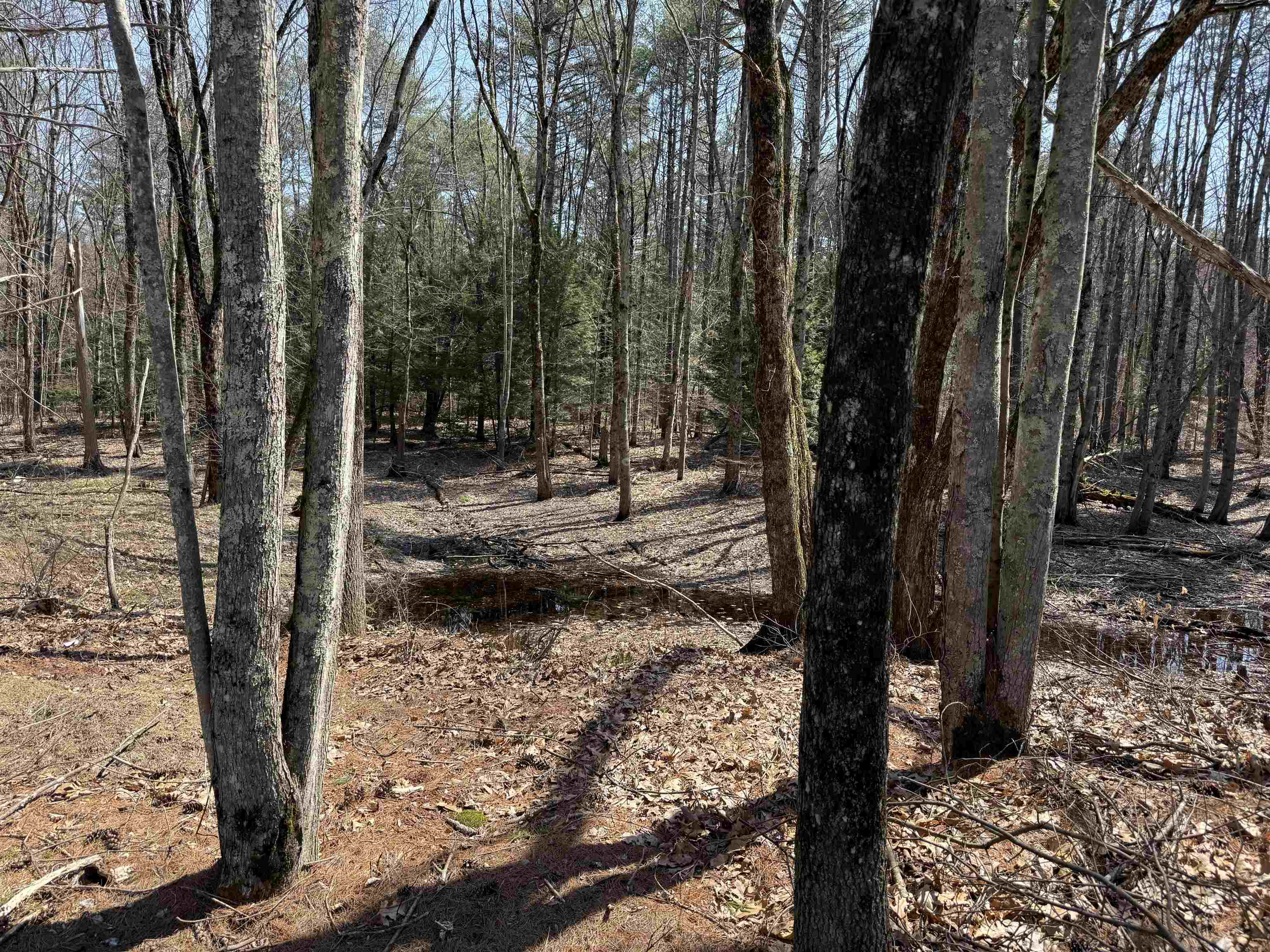 186 Deer Path Road Hopkinton, NH 03229 - Photo 26 of 27