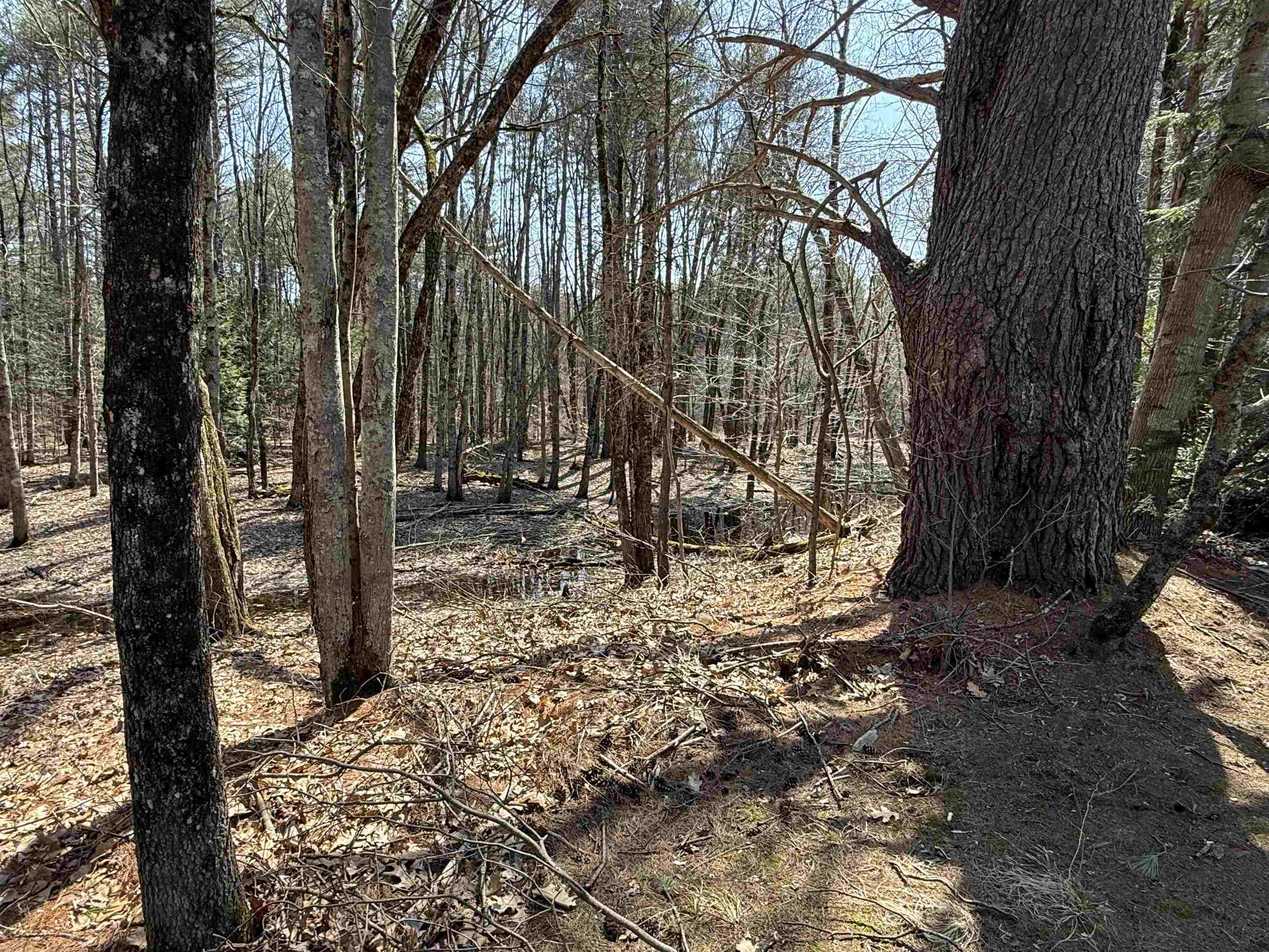 186 Deer Path Road Hopkinton, NH 03229 - Photo 27 of 27