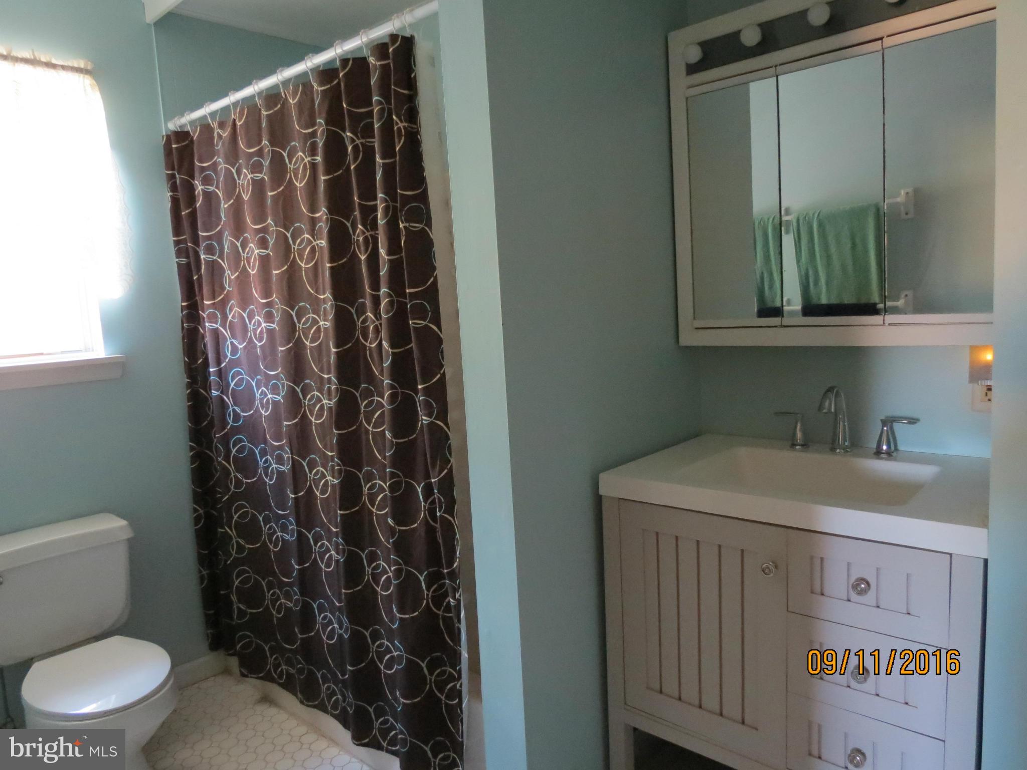 2017 Garrett Road Manchester, MD 21102 - Photo 20 of 30 Update Master Bath