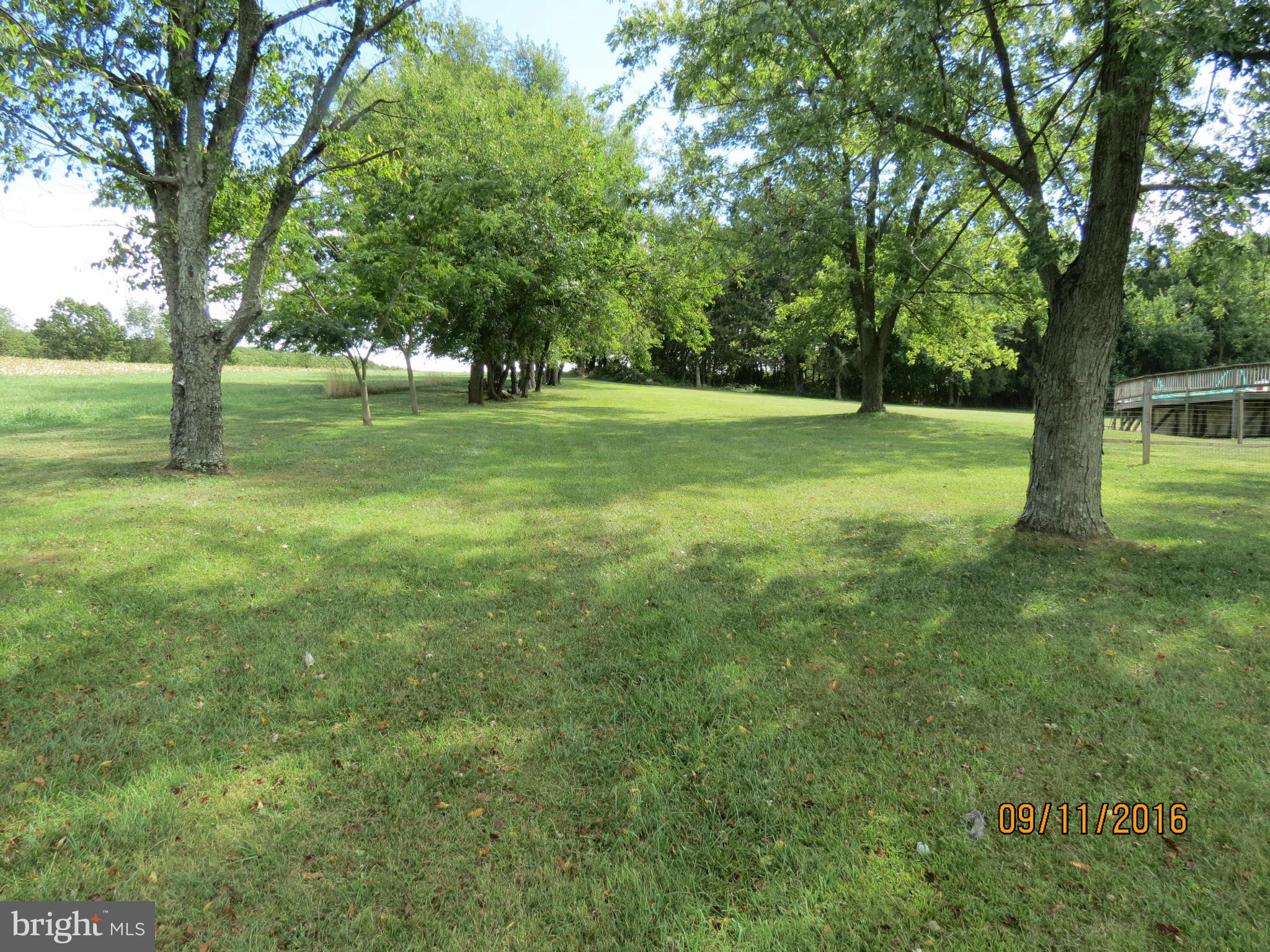 2017 Garrett Road Manchester, MD 21102 - Photo 28 of 30 Mature trees in the Front Yard