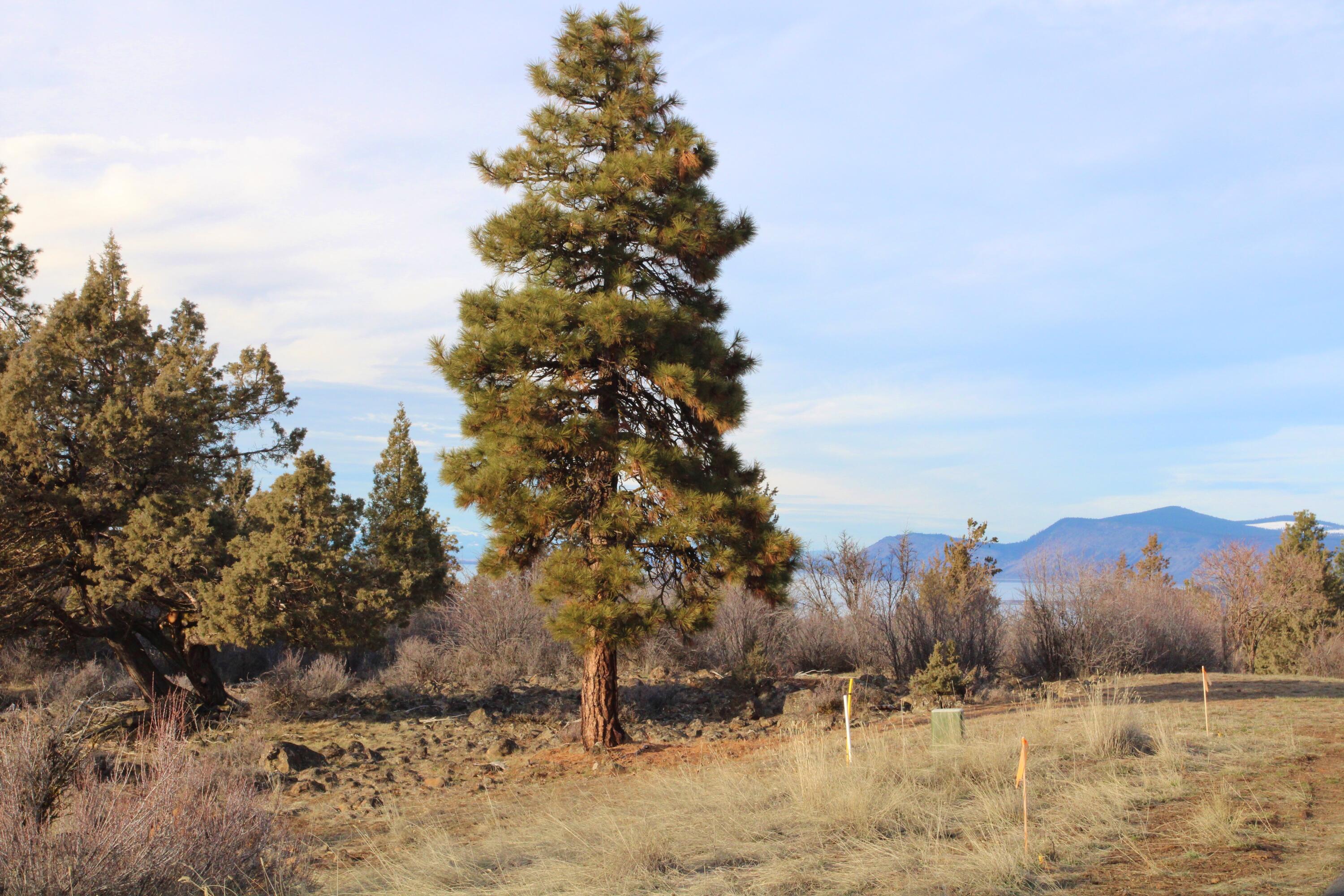 940 Bailey Mountain Road Klamath Falls, OR 97601 - Photo 12 of 17 940 Bailey Mountain 210