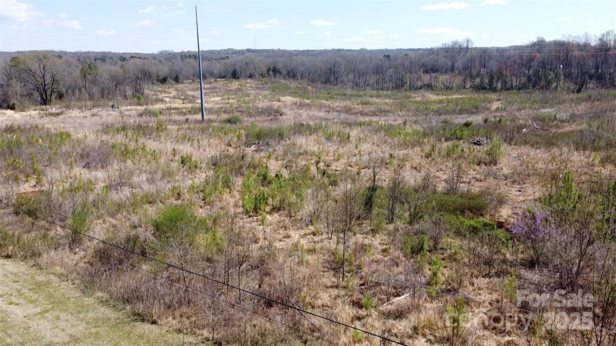 3 Carlos Road, Unit 3 Catawba, NC 28609 - Photo 4 of 6 a view of a back yard