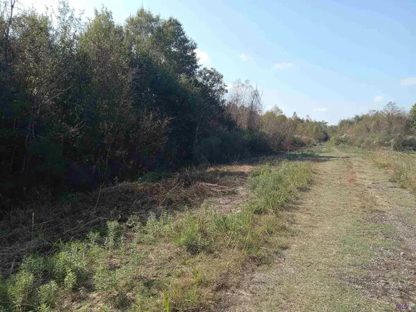 $150,000 | 0 Rue Orleans Road, Albany, LA 70711