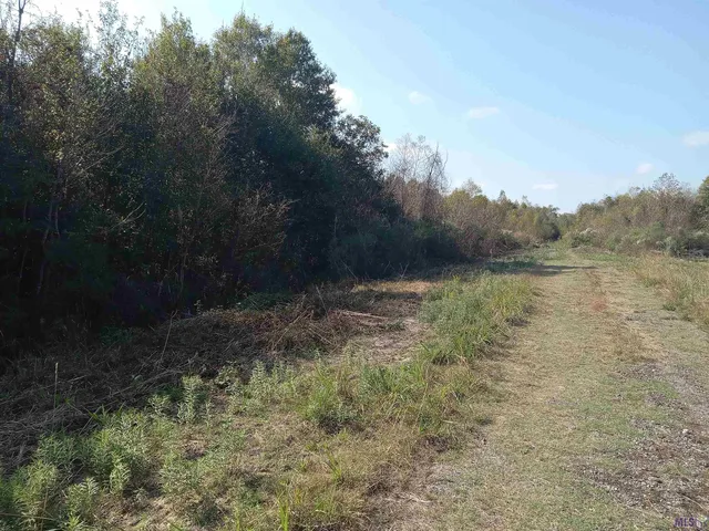 $150,000 | 0 Rue Orleans Road, Albany, LA 70711