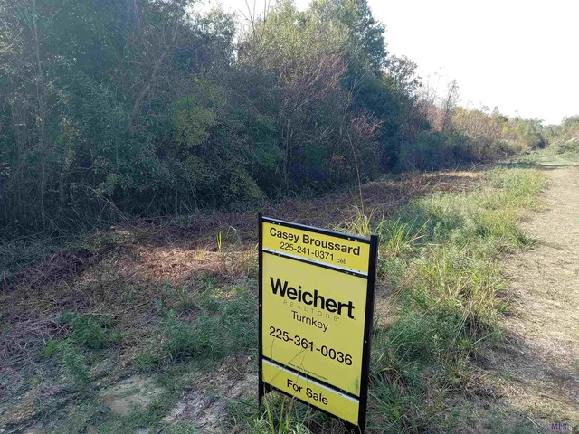 $150,000 | 0 Rue Orleans Road, Albany, LA 70711