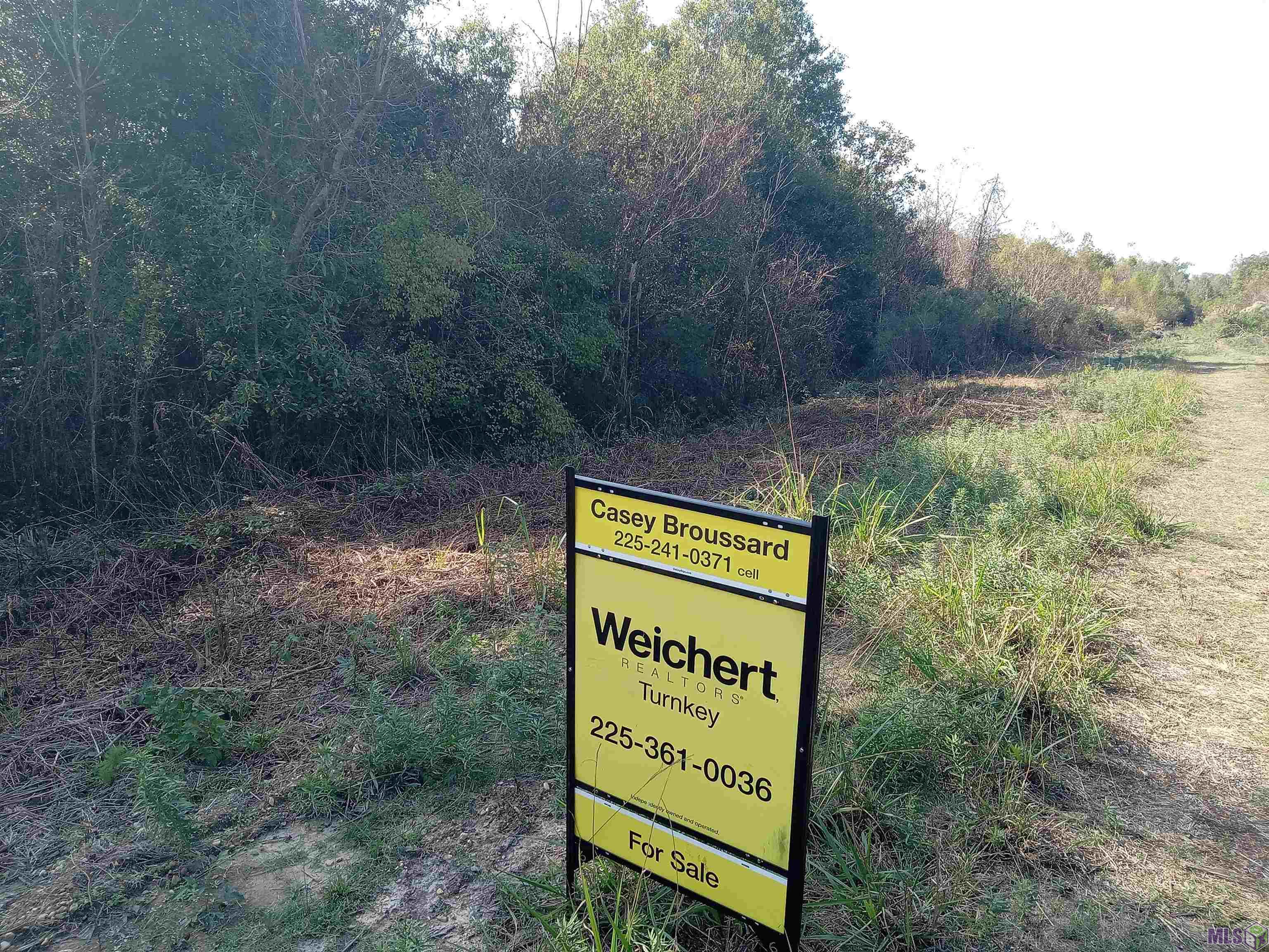 0 Rue Orleans Road Albany, LA 70711 - Photo 2 of 4