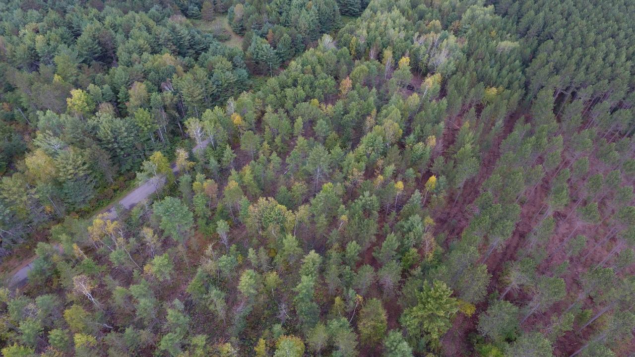 On On Pine Square Road, Unit 11 9 ACRES Tomahawk, WI 54487 - Photo 11 of 20 Gallery Image 11