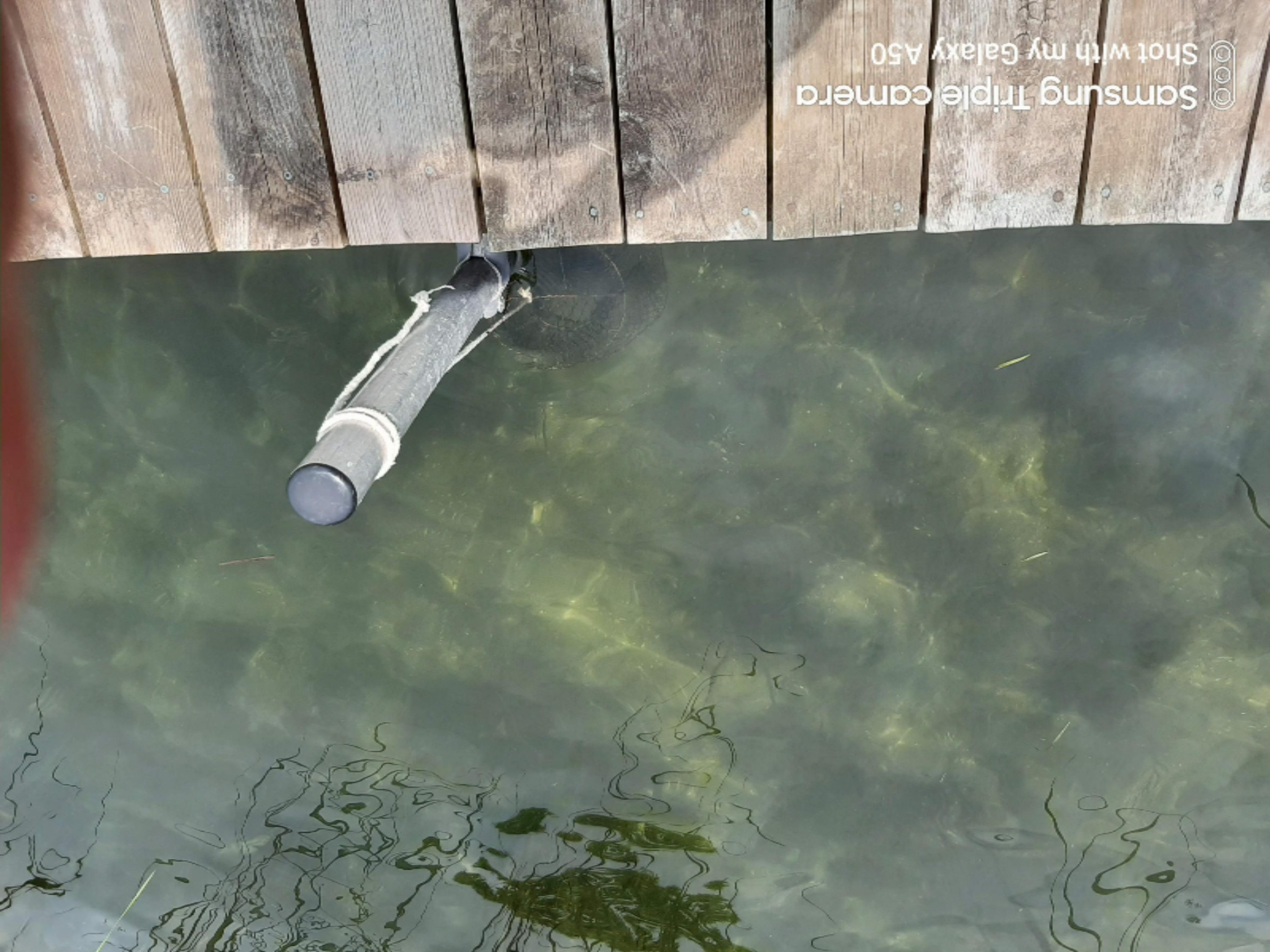 4519 Crescent Beach Road Onekama, MI 49675 - Photo 38 of 55 Nice clear water