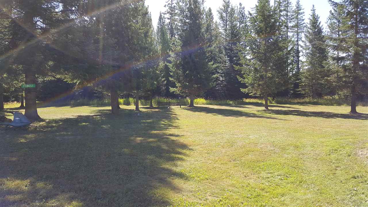 4595 South Swenson Road Clayton, WA 99110 - Photo 11 of 11