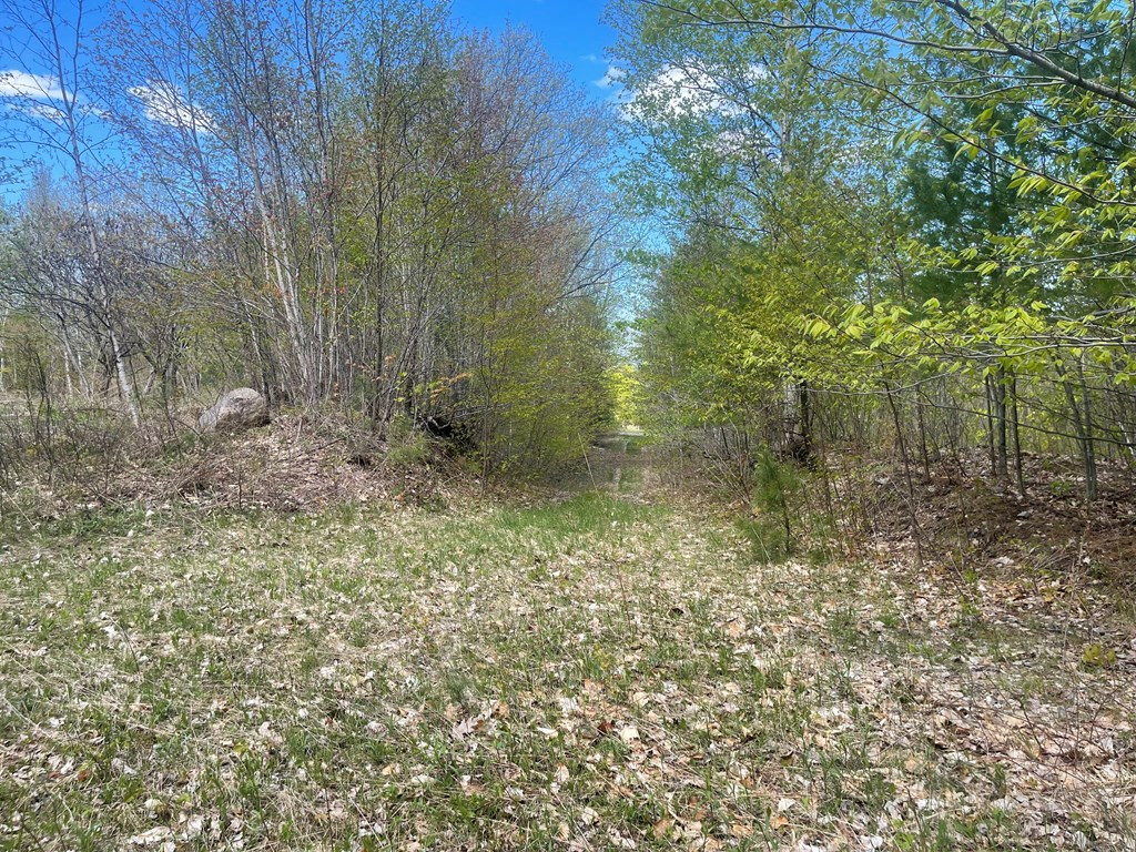 125 Pray Road Keeseville, NY 12944 - Photo 9 of 39 Gallery Image 9