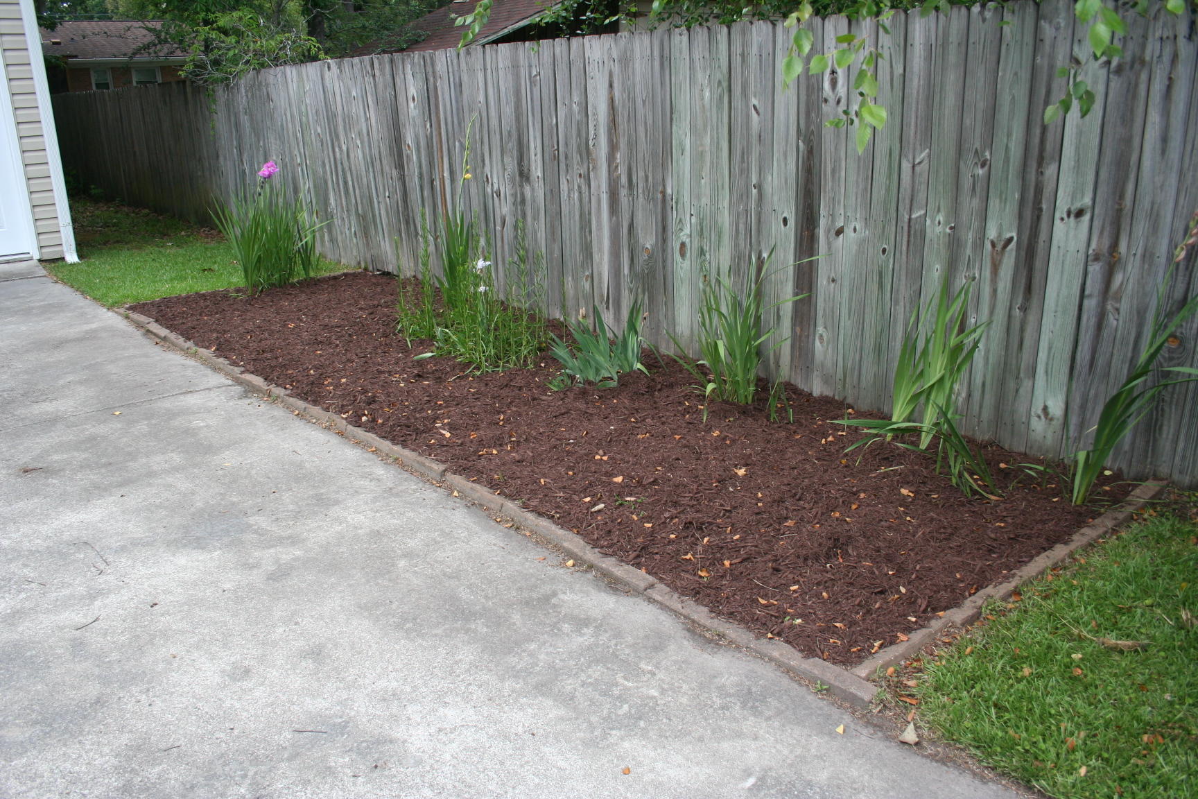 2026 Dogwood Road Charleston, SC 29414 - Photo 44 of 44 IMG_0780