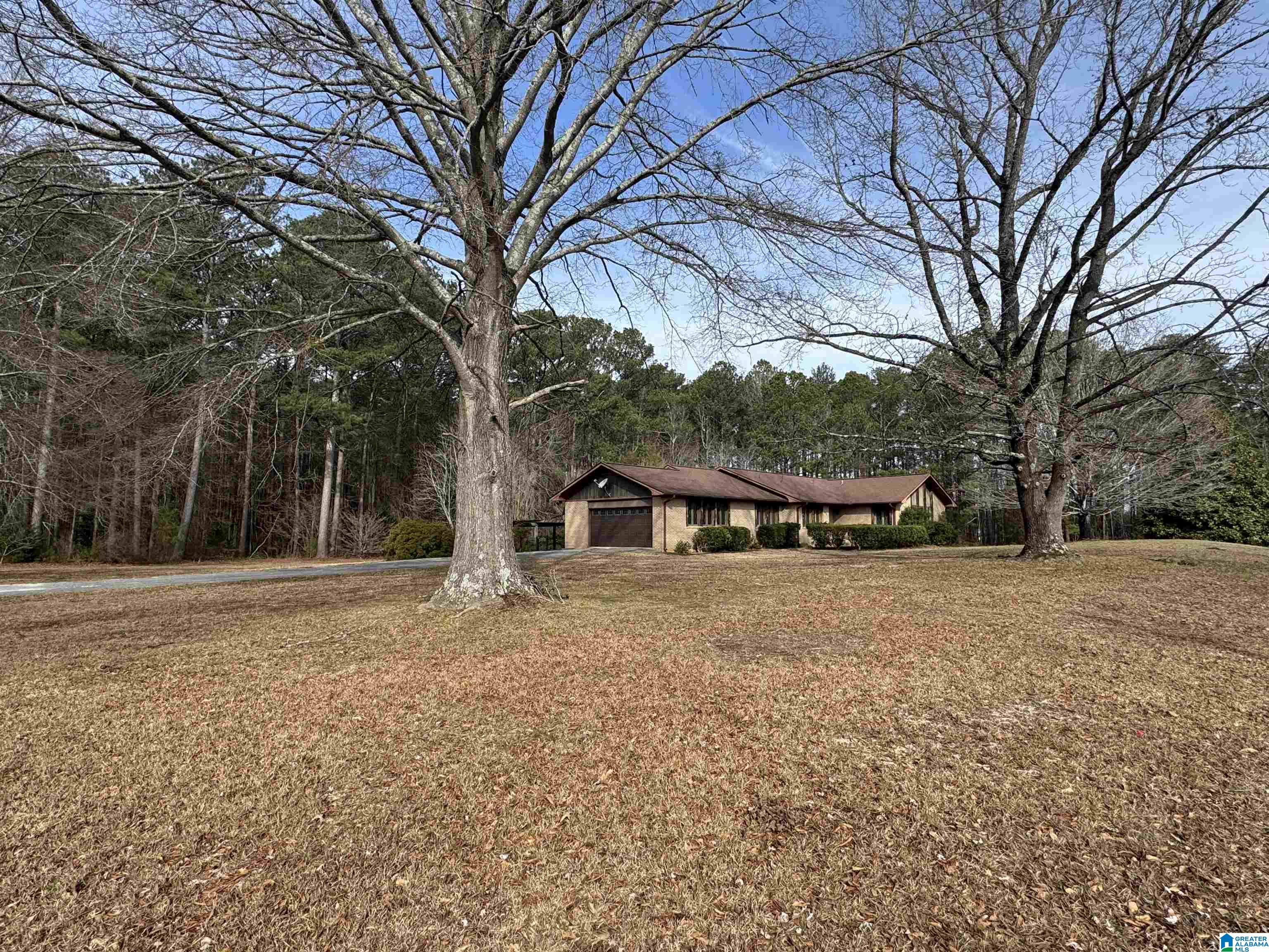 810 Dailey Street Piedmont, AL 36272 - Photo 47 of 49
