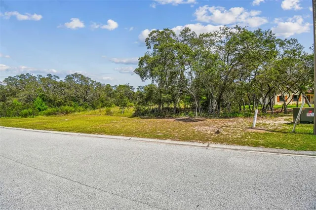 a view of a house with a big yard
