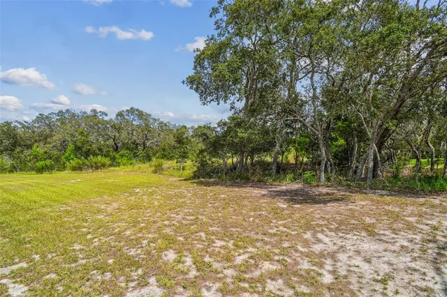 a backyard of a house with lots of green space