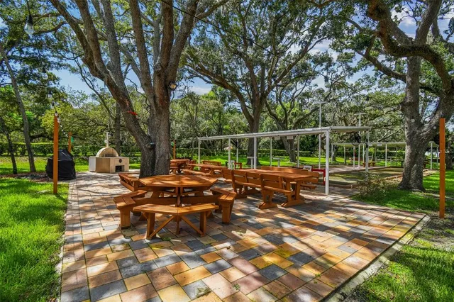 a view of swimming pool with lawn chairs and large trees