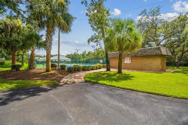 a view of backyard and tree