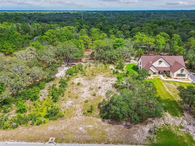 a view of a city with lush green forest