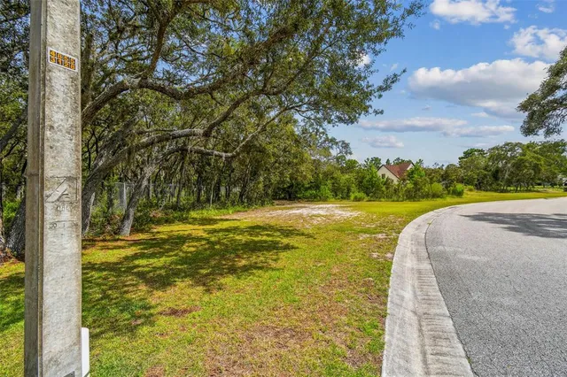 a view of a yard with an outdoor space