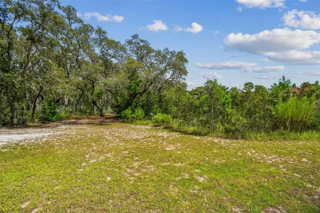 a view of a yard with a house