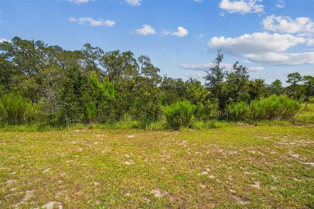 a view of a field with an trees