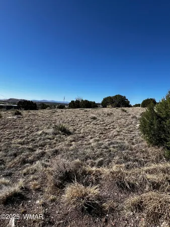 $9,995 | 58 Short Lane, Concho, AZ 85924