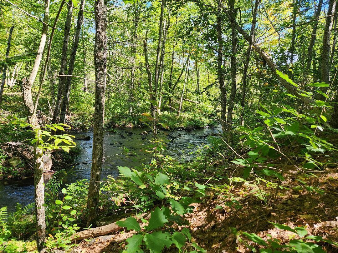 28 Cemetery Road Montville, ME 04941 - Photo 1 of 7 20240909205010259461000000-o