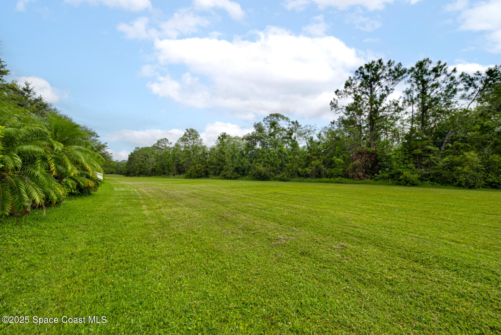 3142 Dark Sky Drive Harmony, FL 34773 - Photo 50 of 54 a view of a green field with wooden fence