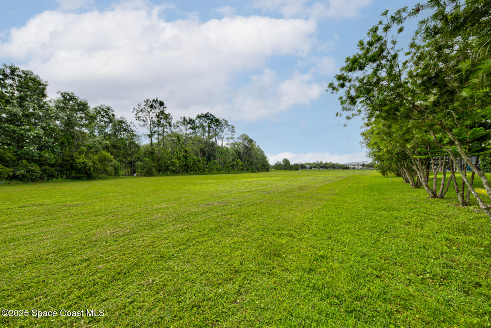 3142 Dark Sky Drive Harmony, FL 34773 - Photo 51 of 54 a view of yard with swimming pool and green space