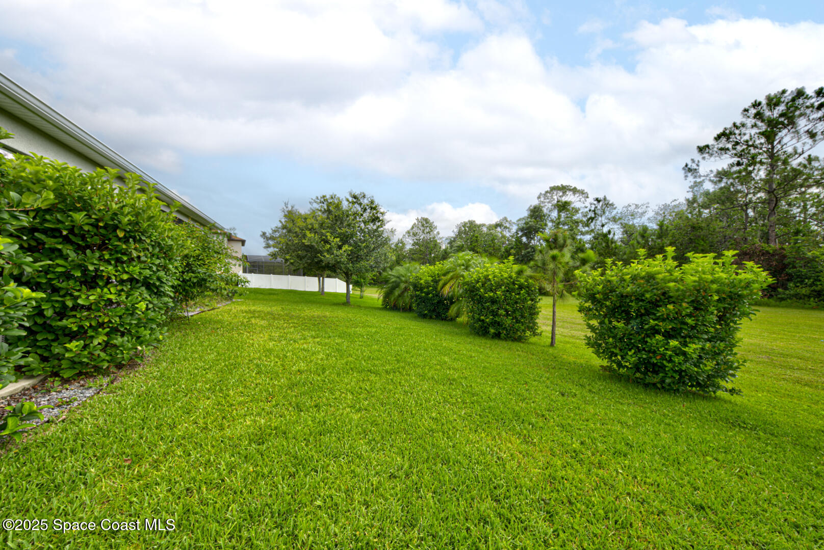 3142 Dark Sky Drive Harmony, FL 34773 - Photo 52 of 54 a view of a garden with plants and a large tree