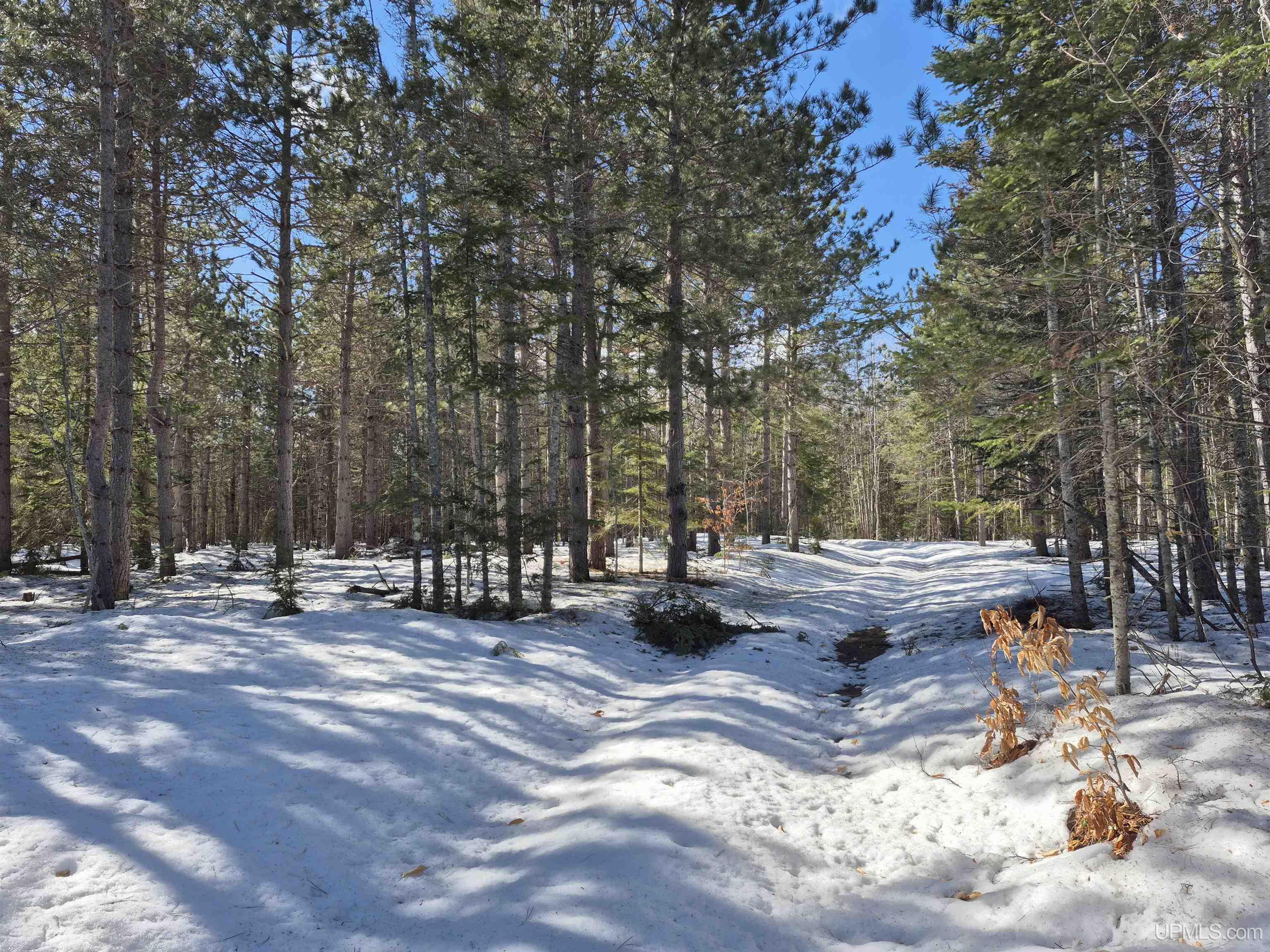 40-acres Off Flodin Road Manistique, MI 49854 - Photo 15 of 23