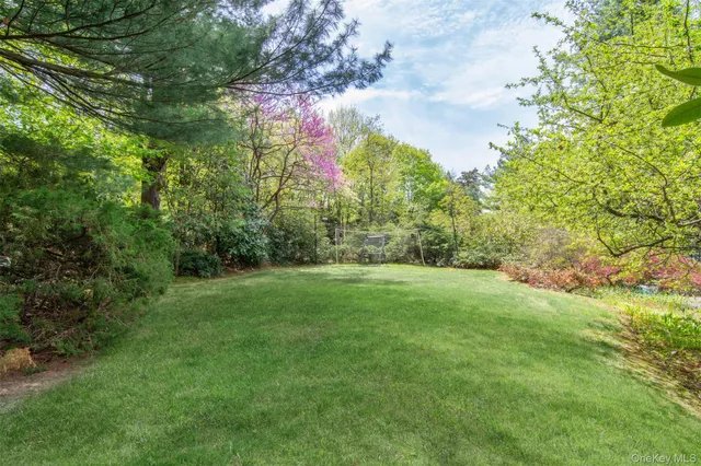 a view of a yard with furniture