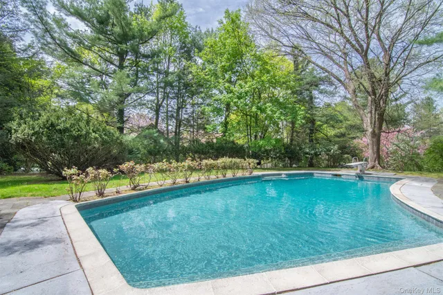 a view of a swimming pool with a garden