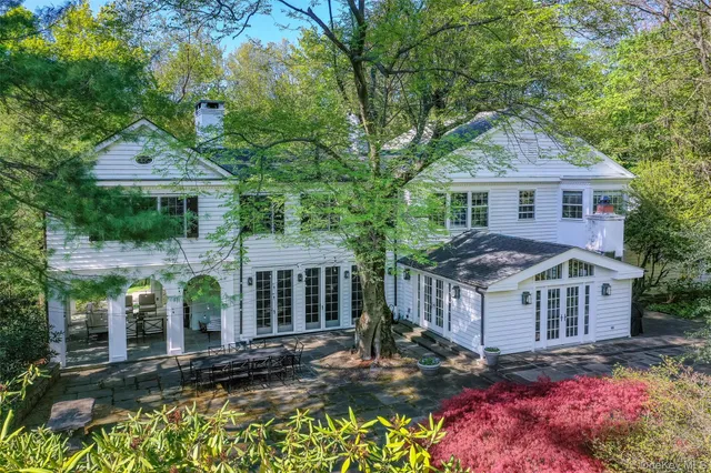 a view of a lush green forest with a mountain