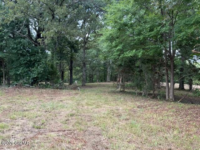 0 McBride Cemetery Road Sardis, TN 38371 - Photo 40 of 54 thumbnail (40)