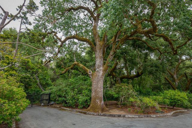a view of outdoor space and yard