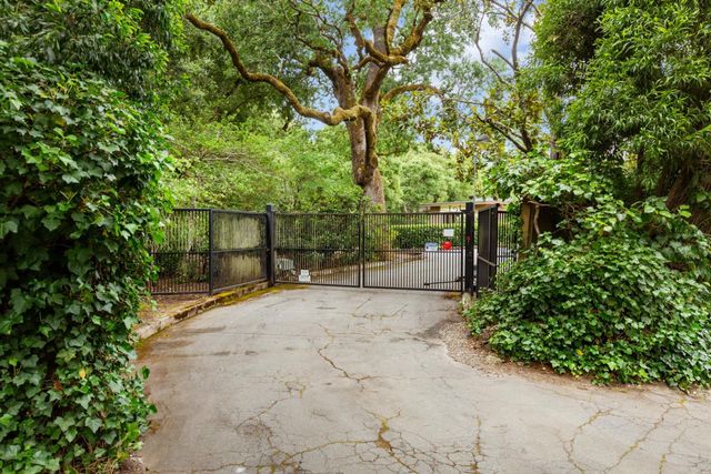 a view of a yard with plants and trees