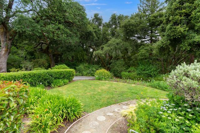 a view of a yard with plants and large trees