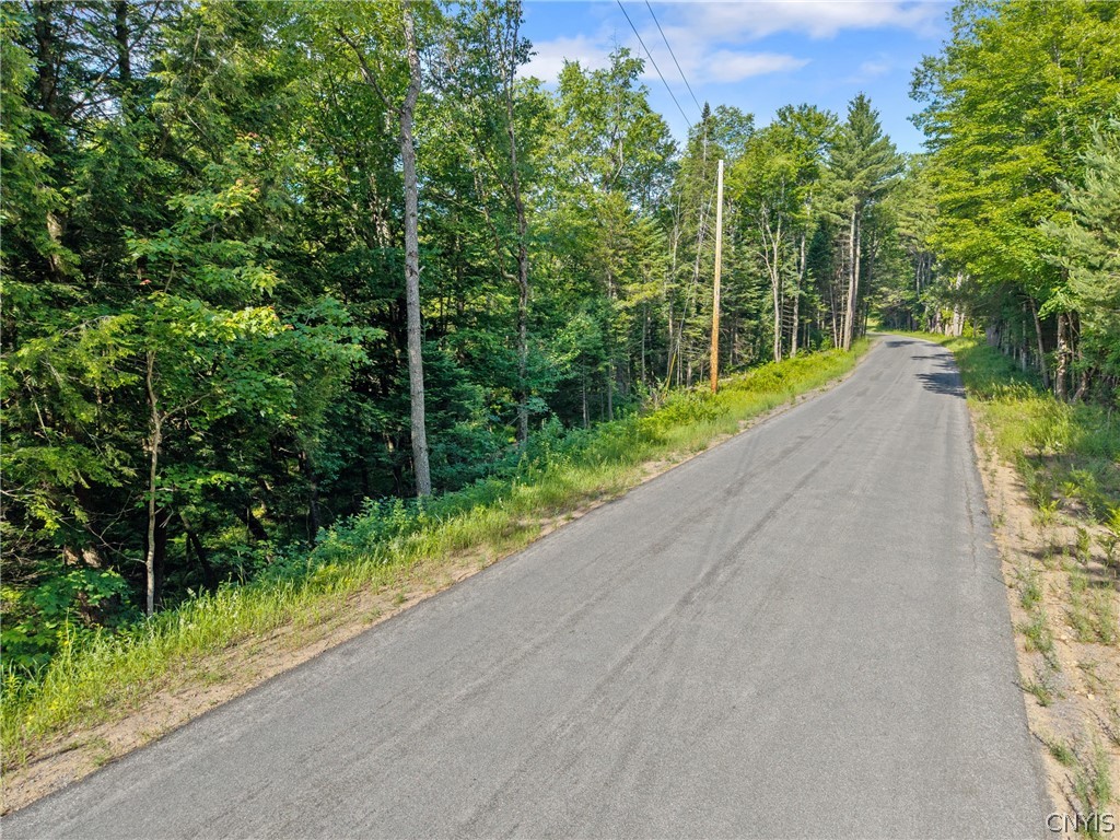 Fish Creek Road Greig, NY 13345 - Photo 5 of 14