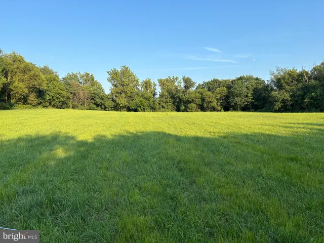 a view of an outdoor space and yard