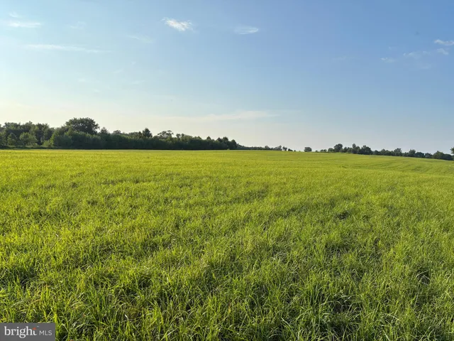 a view of an ocean and beach