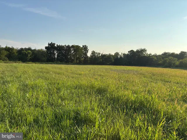 a view of an ocean and beach