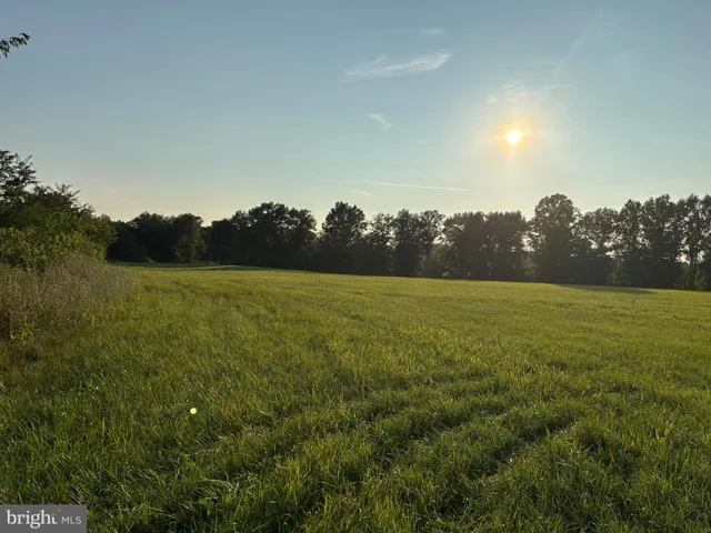 a view of an outdoor space and a yard