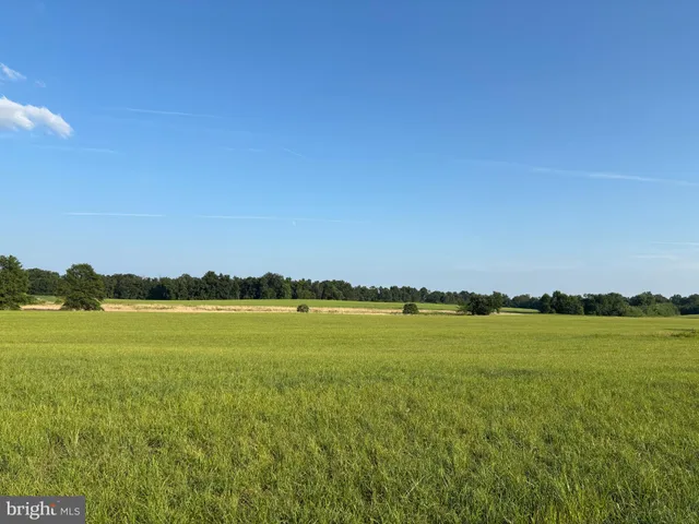 a view of an ocean and beach