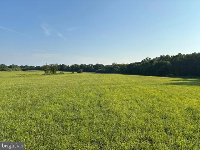 a view of a lake in middle of a field