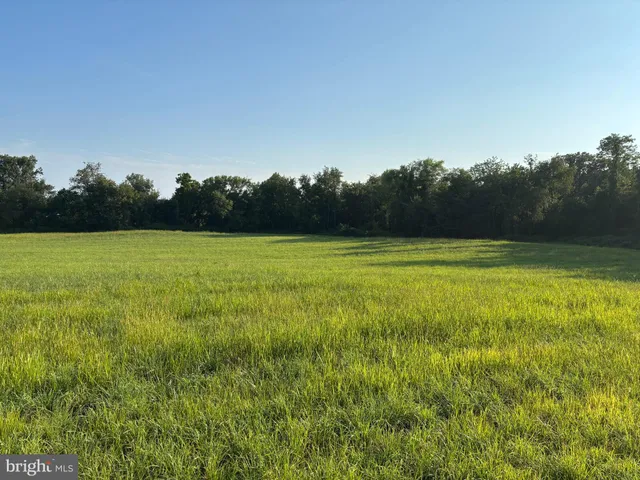 a view of a field with an ocean view