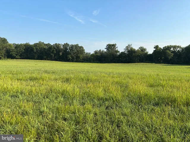 a view of an outdoor space and a yard