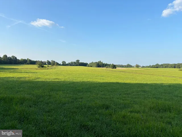 a view of a golf course with a lake