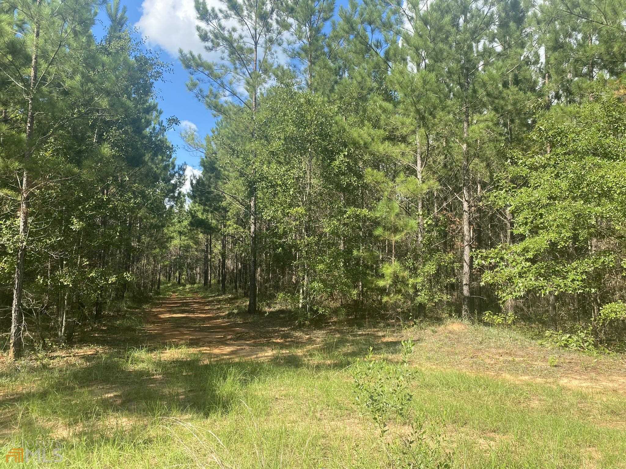 2 Peel Road Edison, GA 39846 - Photo 1 of 1 a view of outdoor space