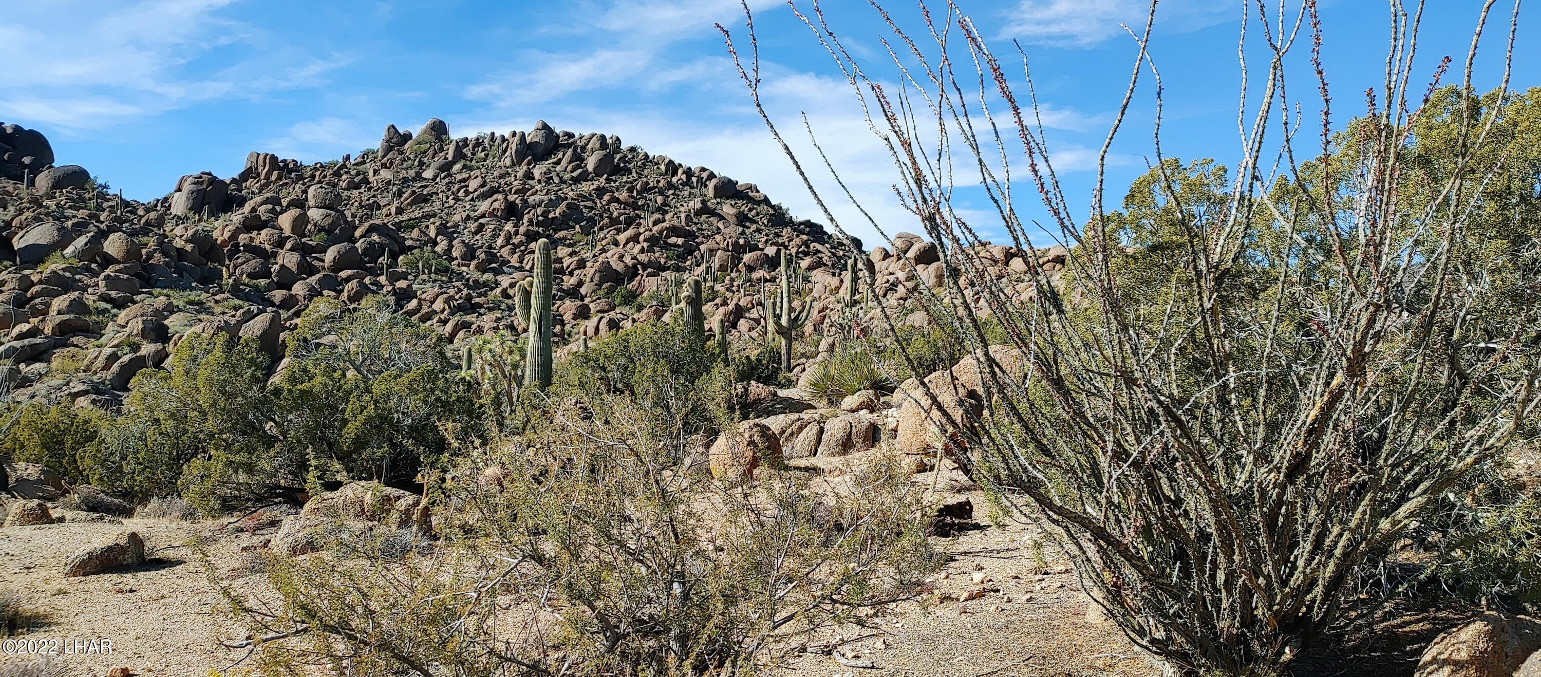 3611 South La Cienega Ranch Road Yucca, AZ 86438 - Photo 1 of 75 1127221345c 1